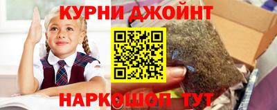 сатива Моздок