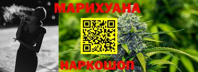 сатива Моздок
