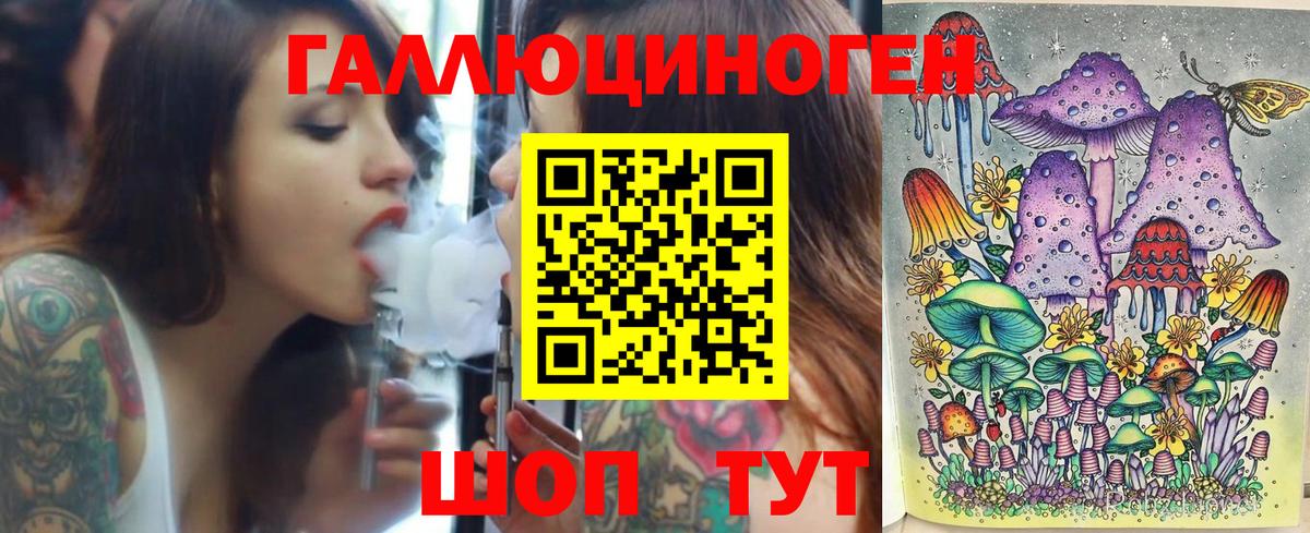 Галлюциногенные грибы Psilocybe Элиста