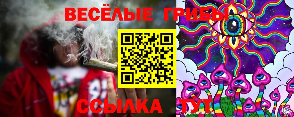 Элиста  Галлюциногенные грибы Cubensis  Галлюциногенные грибы GOLDEN TEACHER  как найти закладки  Вход с VPN 